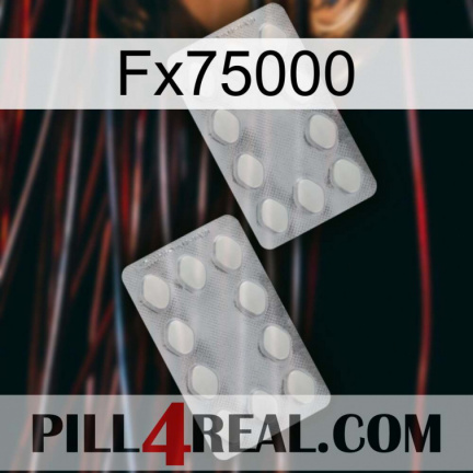 Fx75000 17